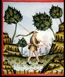 Il vento del sud, dal Tacuinum Sanitatis